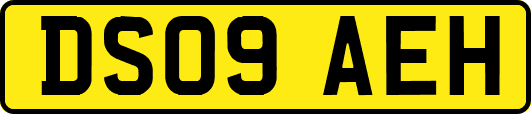 DS09AEH