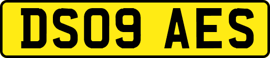 DS09AES