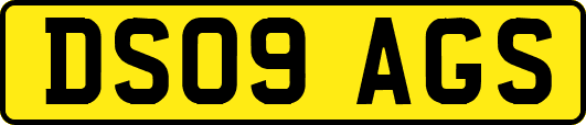 DS09AGS
