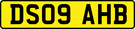 DS09AHB