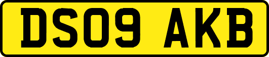 DS09AKB