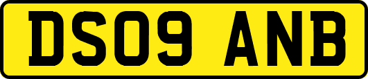 DS09ANB