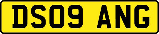 DS09ANG