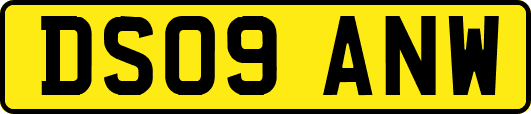 DS09ANW