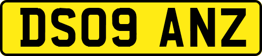 DS09ANZ