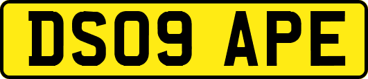 DS09APE