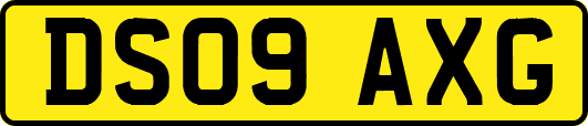 DS09AXG
