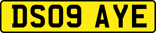 DS09AYE