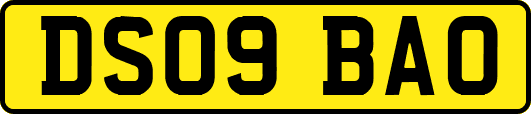 DS09BAO