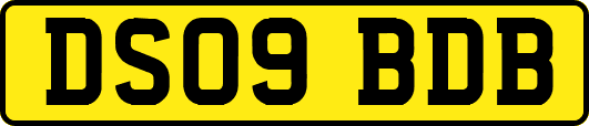 DS09BDB