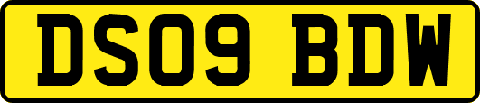 DS09BDW