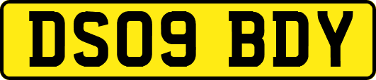 DS09BDY