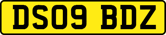 DS09BDZ