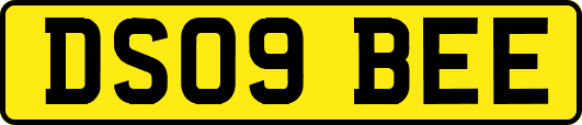 DS09BEE