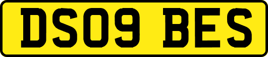 DS09BES