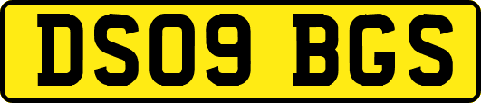 DS09BGS