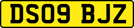 DS09BJZ