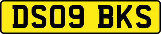 DS09BKS