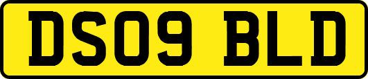 DS09BLD