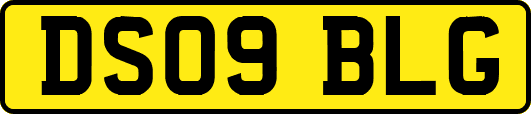 DS09BLG