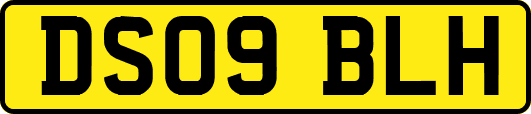 DS09BLH