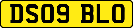DS09BLO