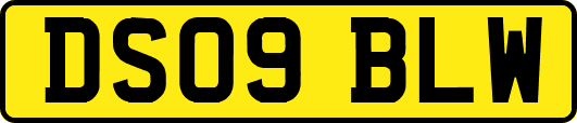 DS09BLW
