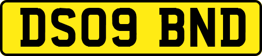 DS09BND