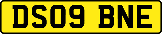 DS09BNE