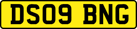 DS09BNG