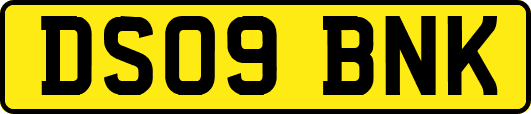 DS09BNK