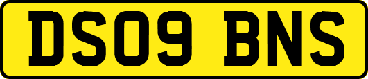 DS09BNS