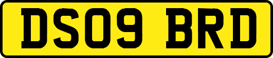 DS09BRD