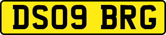 DS09BRG