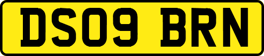 DS09BRN