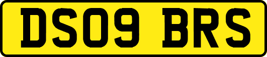 DS09BRS