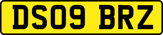 DS09BRZ