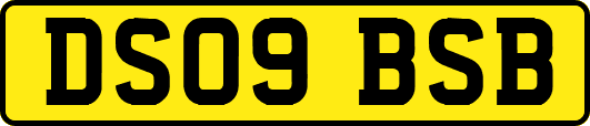 DS09BSB