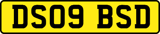 DS09BSD