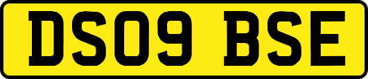 DS09BSE