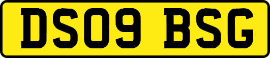 DS09BSG