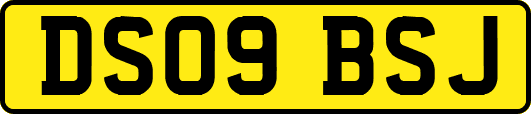 DS09BSJ