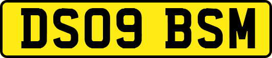 DS09BSM