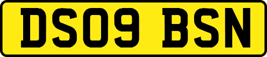 DS09BSN