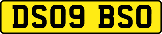 DS09BSO
