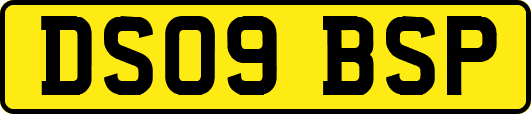 DS09BSP