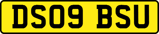 DS09BSU