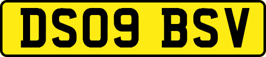 DS09BSV