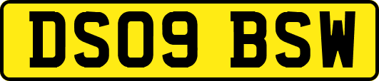 DS09BSW