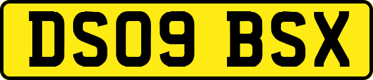 DS09BSX